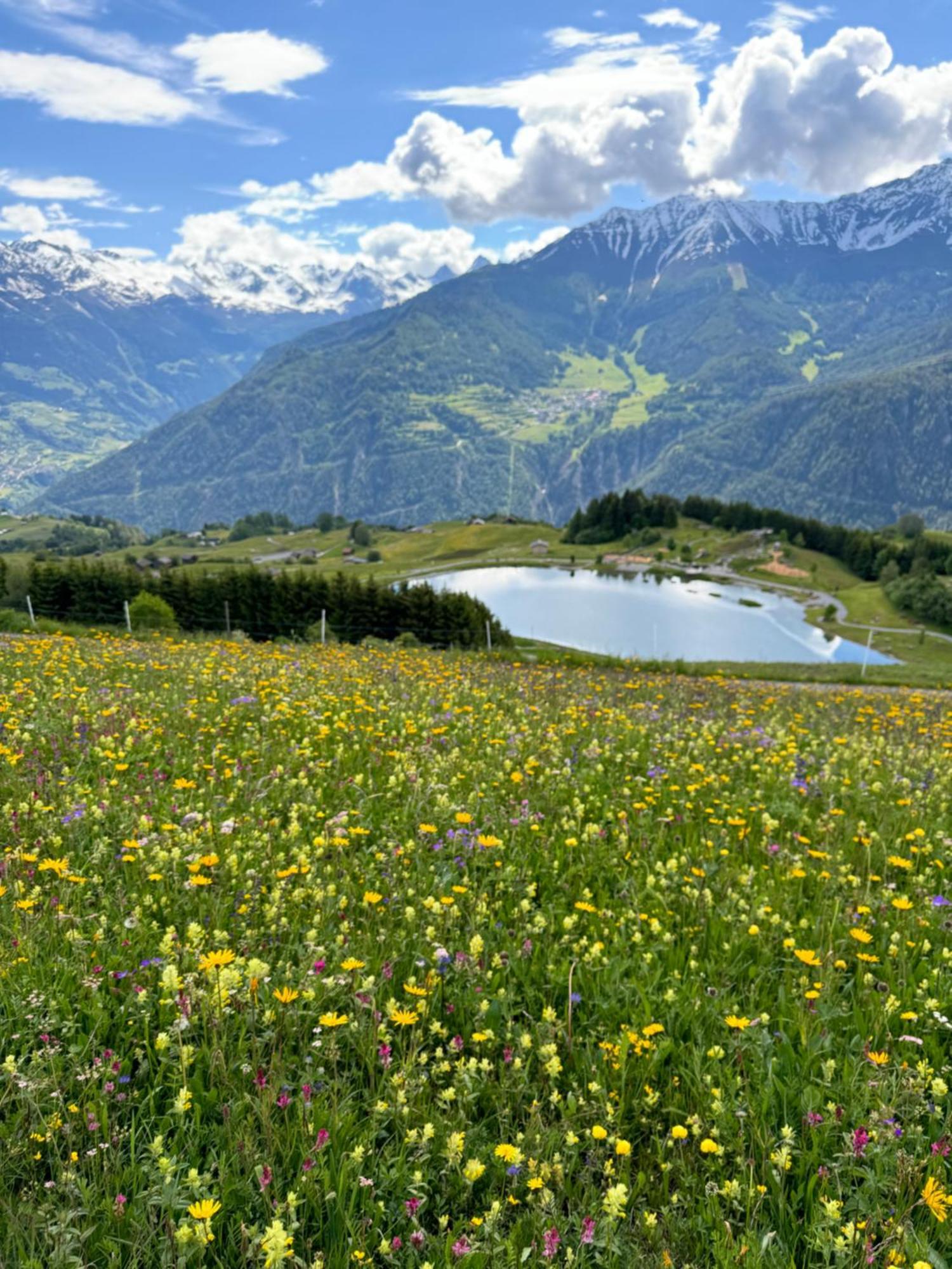 Martinshof Inklusive Super Sommercard Sommerseilbahnticket Casa di campagna Ladis